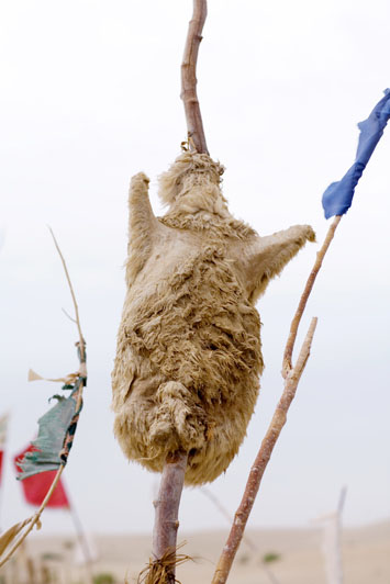 Healing Feet, 2004